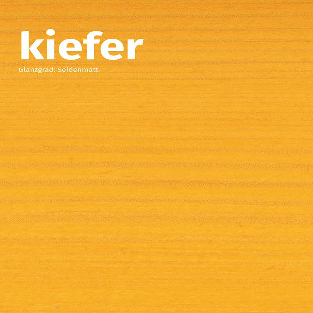 Kiefer
