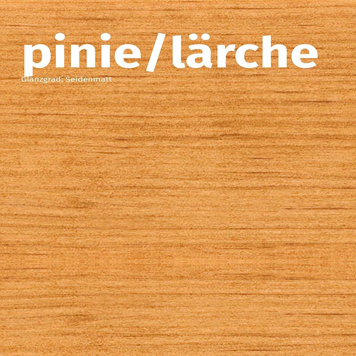 Pinie Lärche